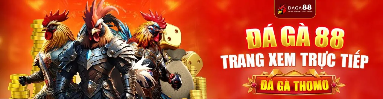 Đá Gà Trực Tuyến Hấp Dẫn tại Solarbet